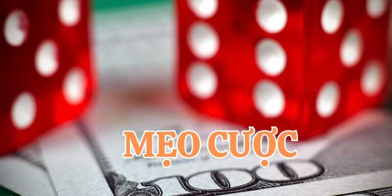 Bỏ túi mẹo hay trong cách chơi tài xỉu cho người mới