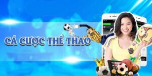 Các bước kiểm tra và phân tích dấu hiệu trận đấu bán độ