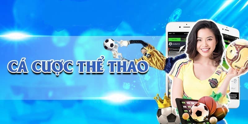 Các bước kiểm tra và phân tích dấu hiệu trận đấu bán độ