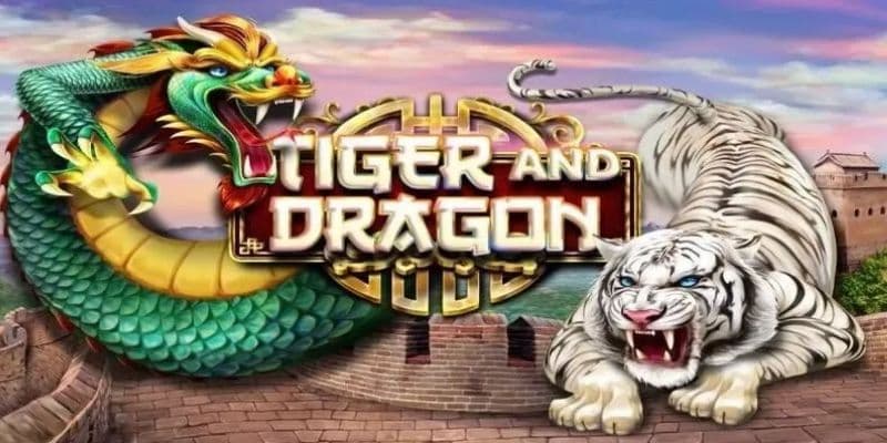 Các chiến thuật hiệu quả trong hướng dẫn chơi rồng hổ