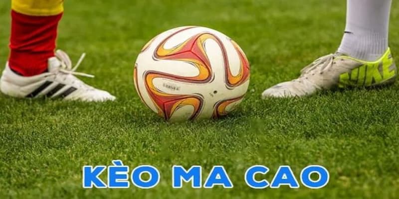 Cách nhận biết và phân biệt tỷ lệ kèo ma cao tại các nhà cái