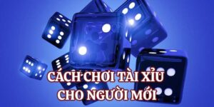 Giới thiệu tổng quan về cách chơi tài xỉu cho người mới tại Go88