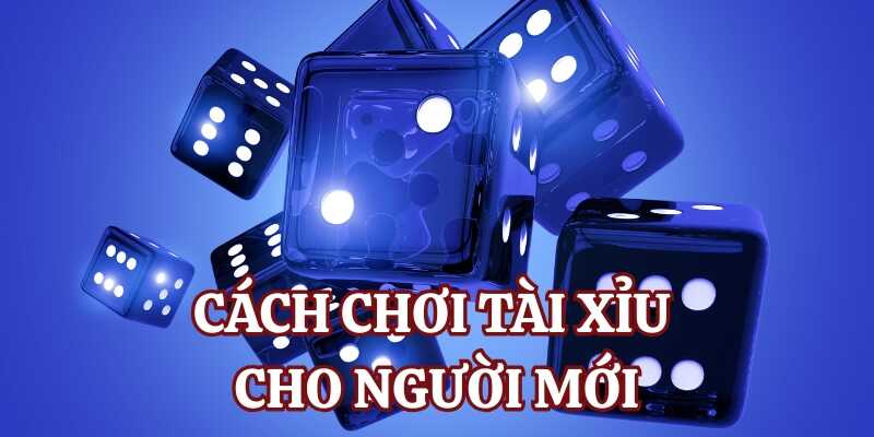 Giới thiệu tổng quan về cách chơi tài xỉu cho người mới tại Go88