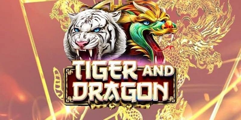Luật chơi cơ bản của rồng hổ