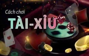 mẹo chơi tài xỉu