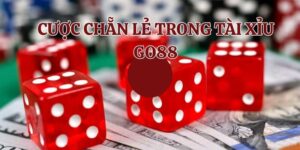 Tham khảo chung về cược chẵn lẻ trong tài xỉu Go88
