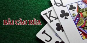 Tìm hiểu thông tin cơ bản về bài cào rùa