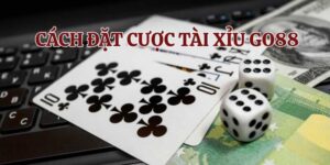 Tìm hiểu về cách đặt cược tài xỉu Go88